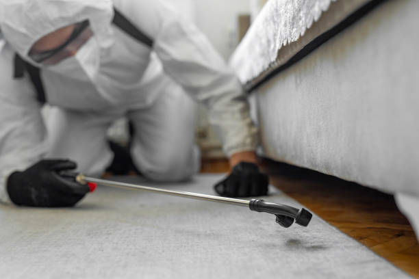Professional Bed Bug Control technician working in Rock Island, IL