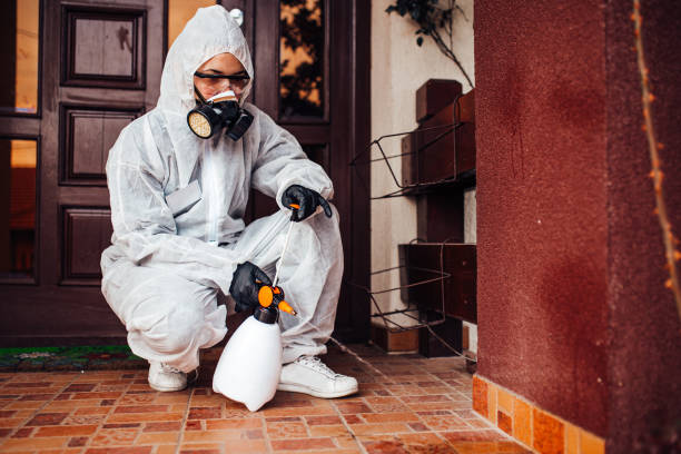 Reliable Bed Bug Control contractor in Rock Island, IL by Nex Pest Control