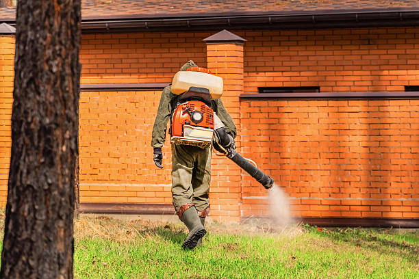 Trusted Cockroach Control service in Rock Island, IL - Nex Pest Control